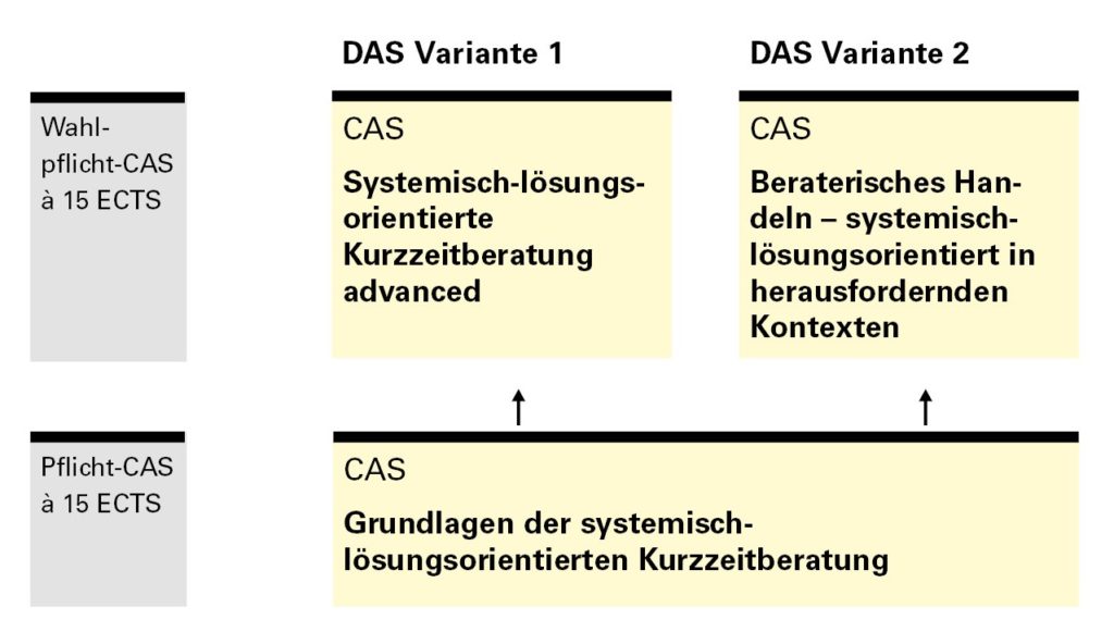 DAS - Systemisch-lösungsorientierte Beratung